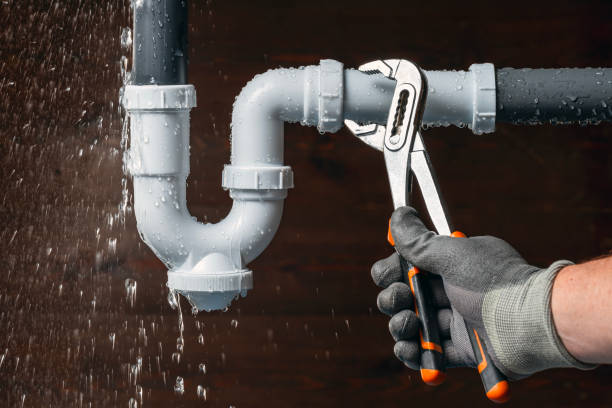 Professional Plumbing technician working in Cornland, IL